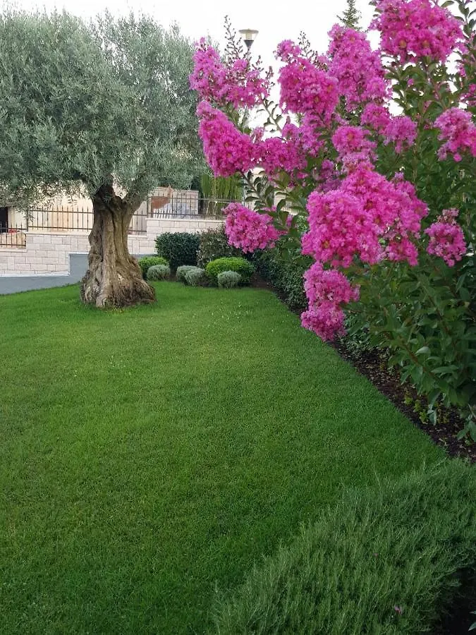 Apartment Magnolia Musalez 0*,